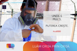 Dezinsectie profesională pentru spații de producție